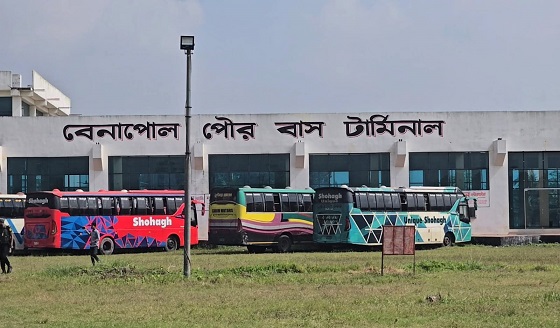 image-here